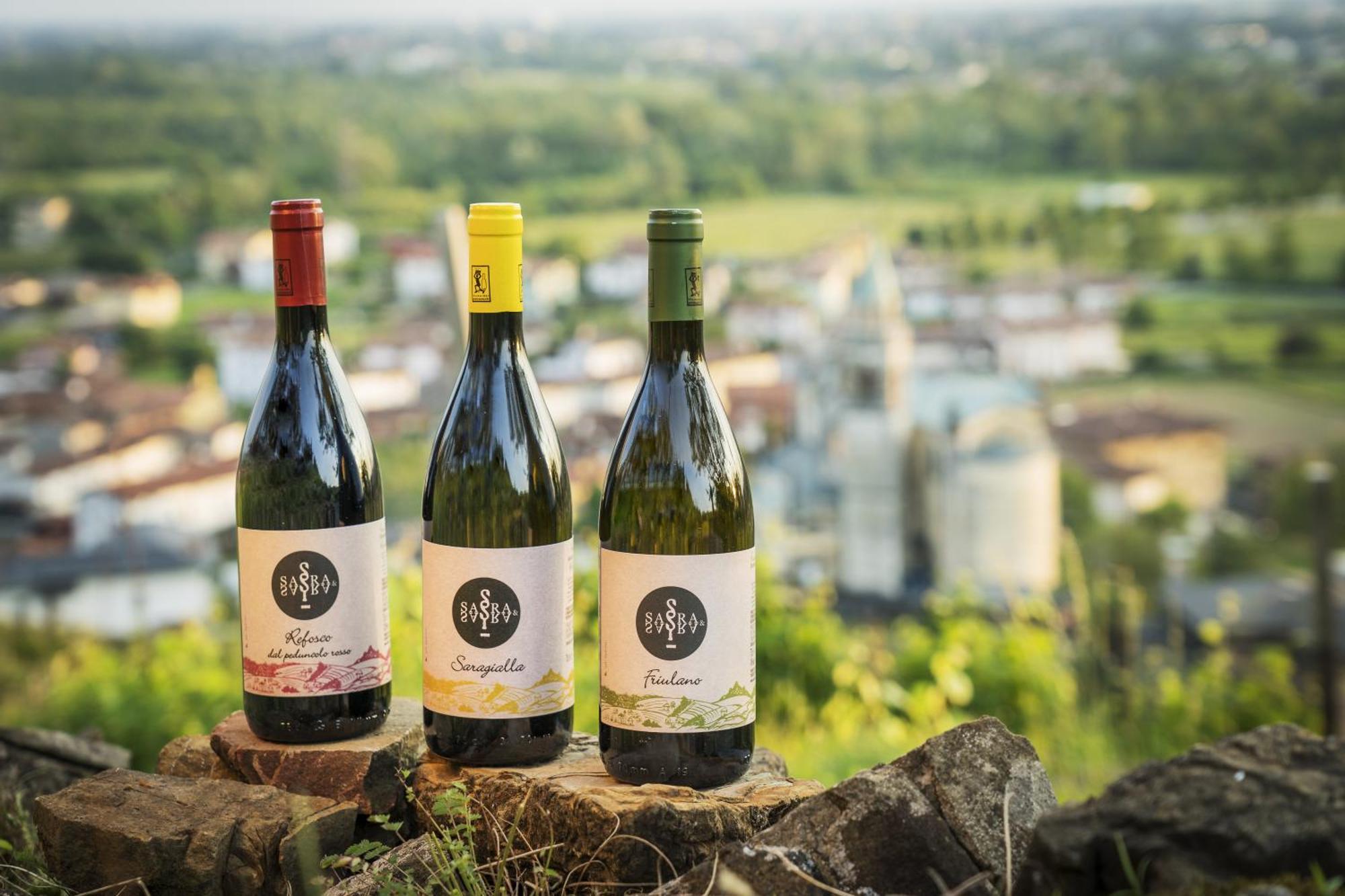Sara&Sara Alloggio Agrituristico Savorgnano Екстериор снимка